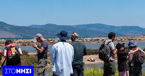 Μεγάλη πληρότητα στα ξενοδοχεία της Λέσβου με παρατηρητές πουλιών