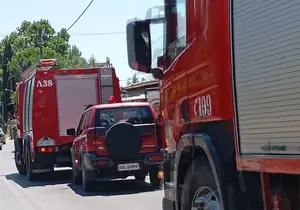 Φωτιά στα Μελισσιάτικα- Πυροσβεστικές δυνάμεις στο σημείο