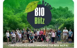 Δράμα: Ανοιχτή δράση BioBlitz για την τοπική βιοποικιλότητα
