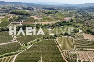 Ιερές εκτάσεις: Αναζητείται λύση από το Υπ. Ψηφιακής Διακυβέρνησης - Αναρμόδιο το Κτηματολόγιο