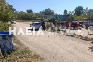 Γαστούνη: Έρευνες σε "Πηγαδάκια" - Λευκοχώρι για τους εμπρηστές του καταστήματος