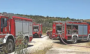 Υψηλός κίνδυνος πυρκαγιάς την Κυριακή στη Ροδόπη