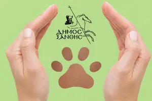 Δήμος Ξάνθης: Ενημέρωση για τις παραβάσεις περί ζώων συντροφιάς για το έτος 2025