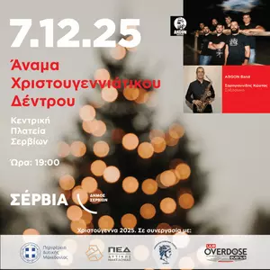 Εναρξη των γιορτών στα Σέρβια με τη φωταγώγηση του δέντρου