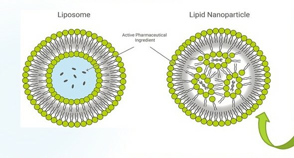 ΛΙΠΟΣΩΜΑΤΑ ΚΑΙ LNPs