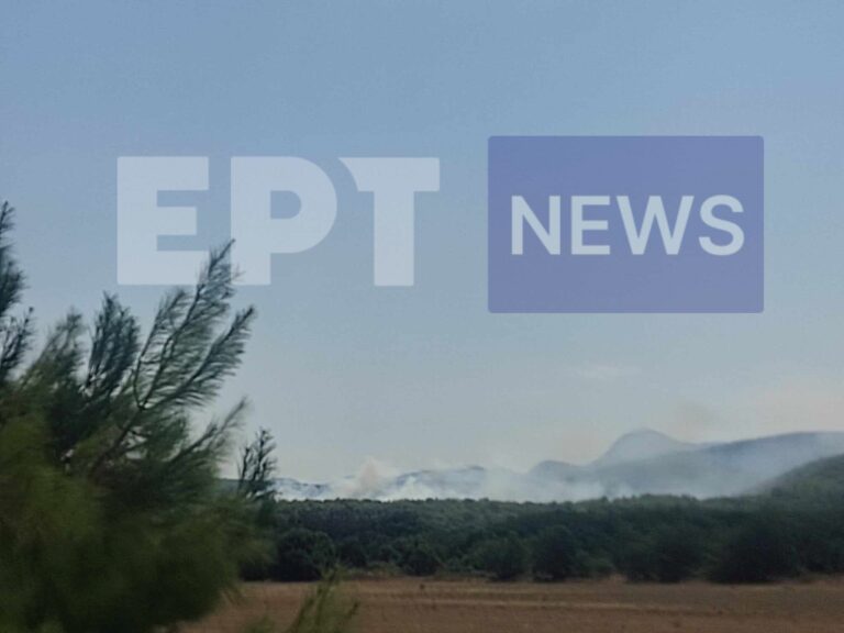 Λεσβοις 1 768x576