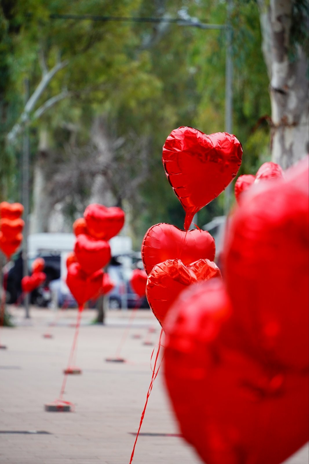 εικόνα Viber 2022 02 14 14 03 13 376