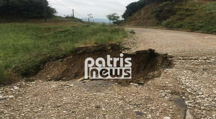 plimires 2 me stampa