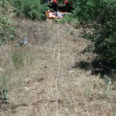 IMG 8cb677ecb8dc4b1dc82a203fd308db7e V 230x230