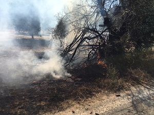 fotia kleisorevmata trifylli1 1