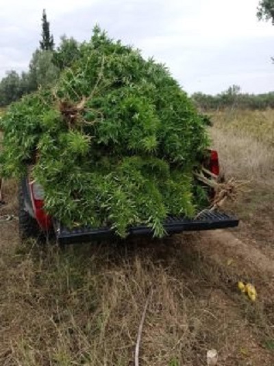 05102018dytmakflorina003s