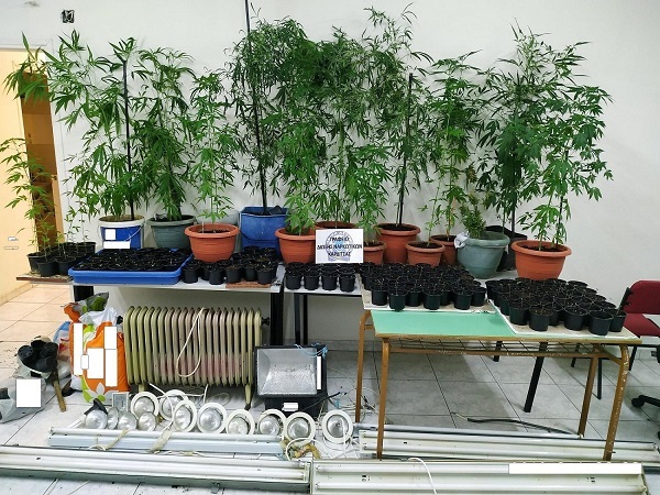 kannavi karditsa solo small