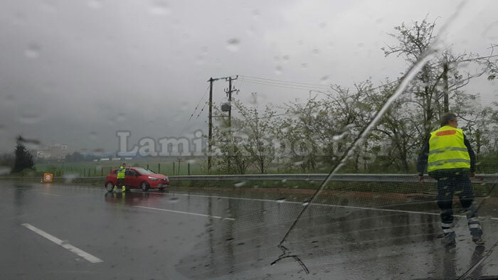 λαμιααναποδα2