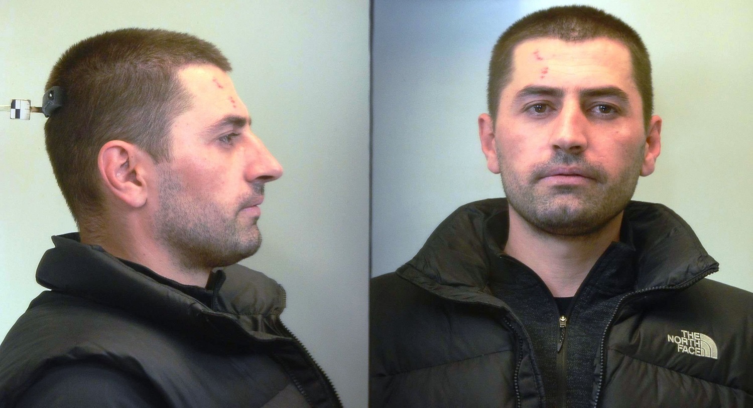 μεταγωγων δραστης