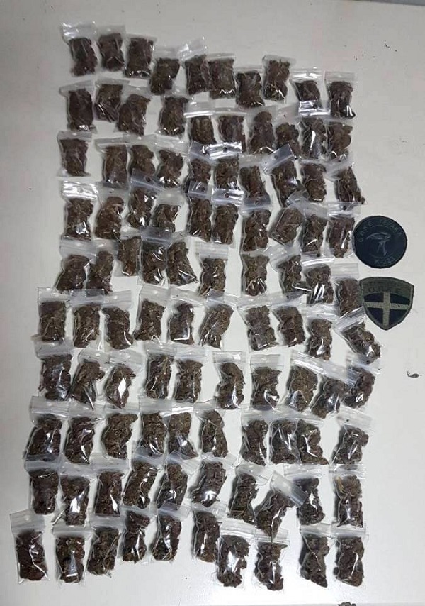 07062019gadanarktika001