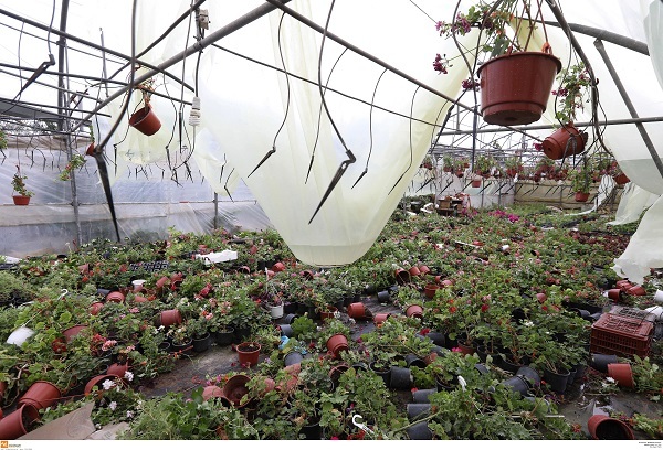 χαλκιδικη44