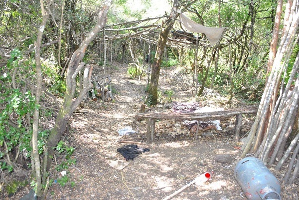 03072019stereafyteia011