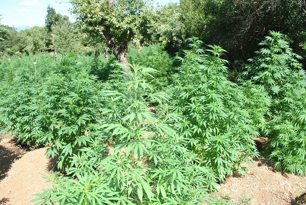 03072019stereafyteia014