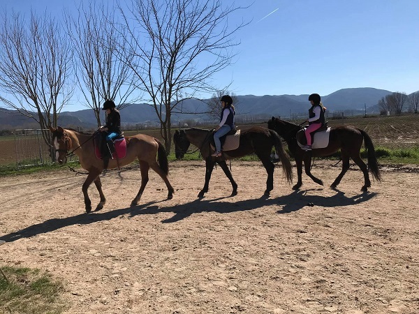 Δηλητηρίασαν άλογα στην Καβάλα