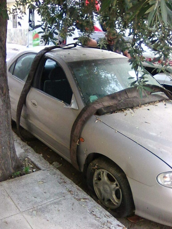 Εγκαταλελειμμένα αυτοκίνητα στο Αιγάλεω