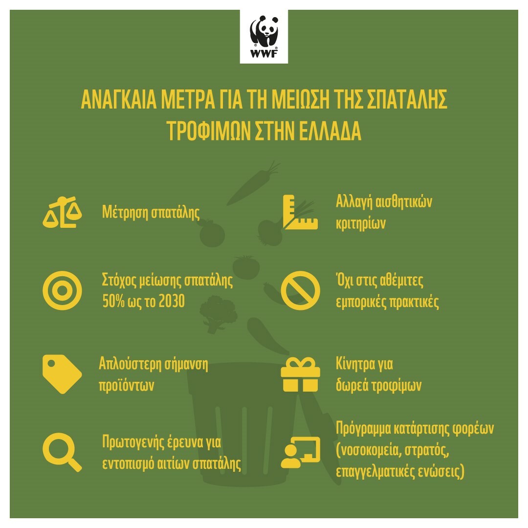 WWFFood Waste Infographic 2
