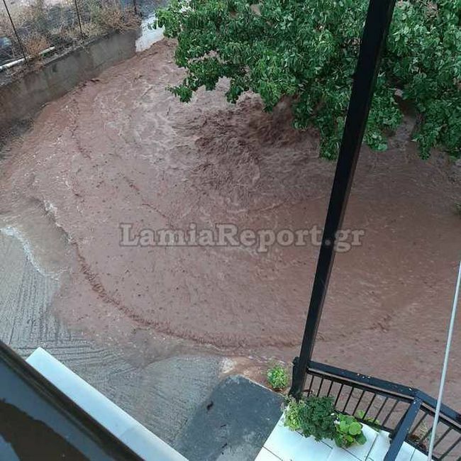 Ιανός Φθιώτιδα