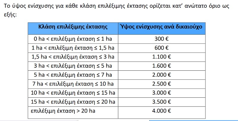 ΕΠΠΙΔΟΜΑ ΕΛΙΕΣ