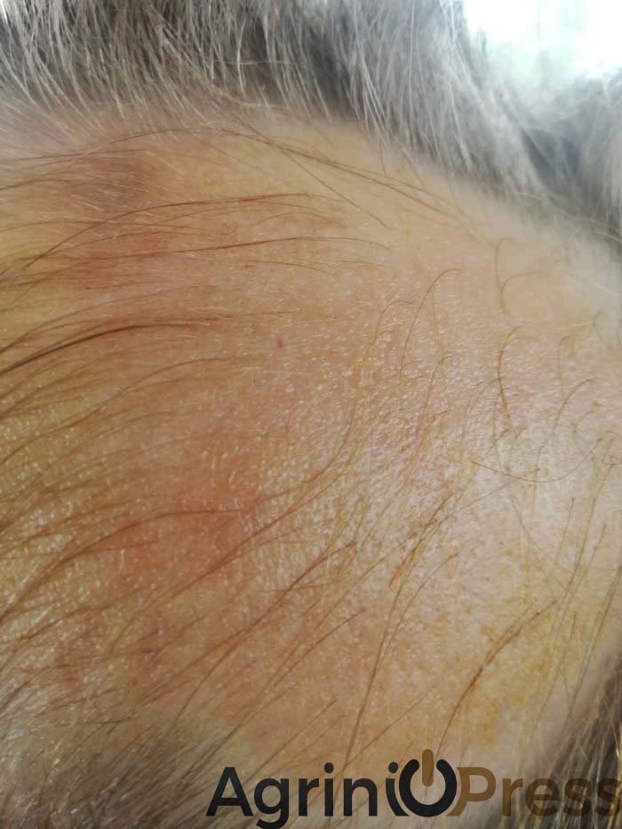 koritsaki nipiagogeio3