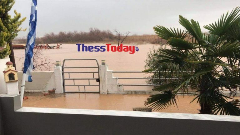 144517359 286082742851436 1555359569053301862 n 768x432