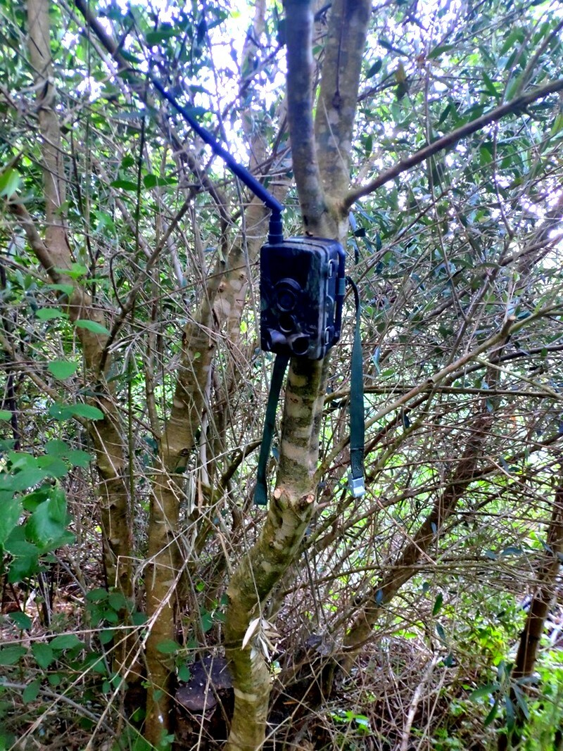 chasisofiteia mylopotamos rethimno elas astynomia 3