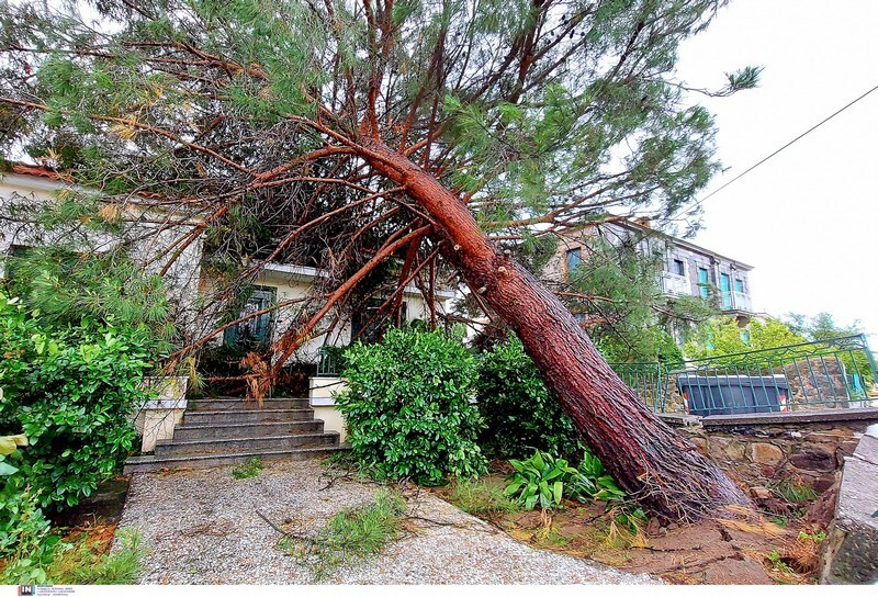 lesvos kakokairia zimies intime 1