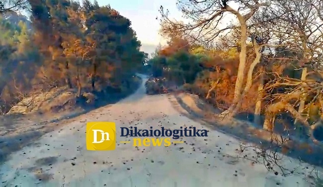 Φωτιά στην Κορινθία: «Σηκώθηκαν» τα εναέρια μέσα, σε «πύρινο κλοιό» τα Μέγαρα