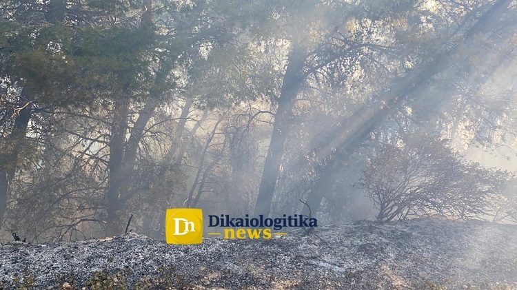 Φωτιά στην Κορινθία: «Σηκώθηκαν» τα εναέρια μέσα, σε «πύρινο κλοιό» τα Μέγαρα (εικόνες, βίντεο)