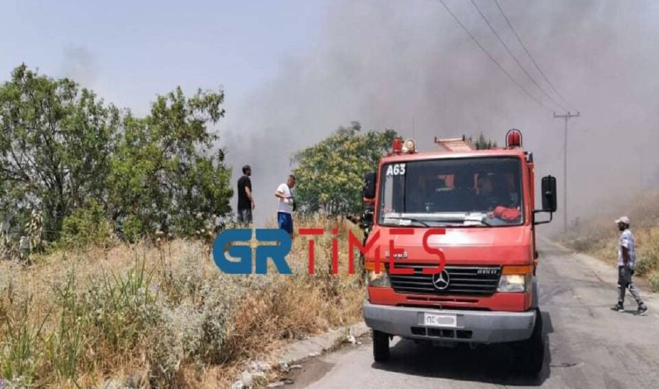 fotia oasth foinikas pigi grtimes