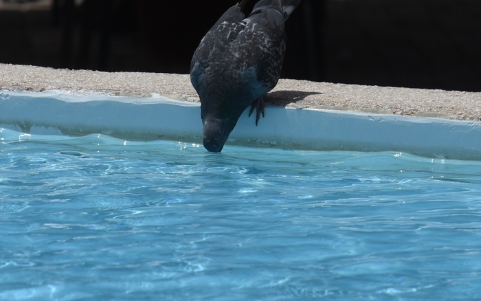 kairos kausonas argolida eurokinissi 1