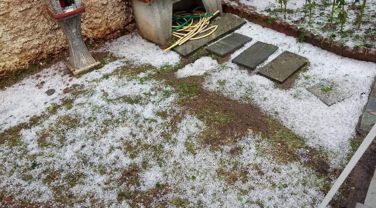 florina xalazi ert 2