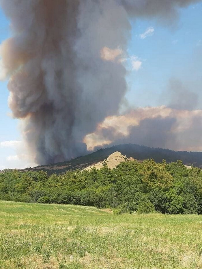 fwtia pirkagia leukimmi evros evros24.gr