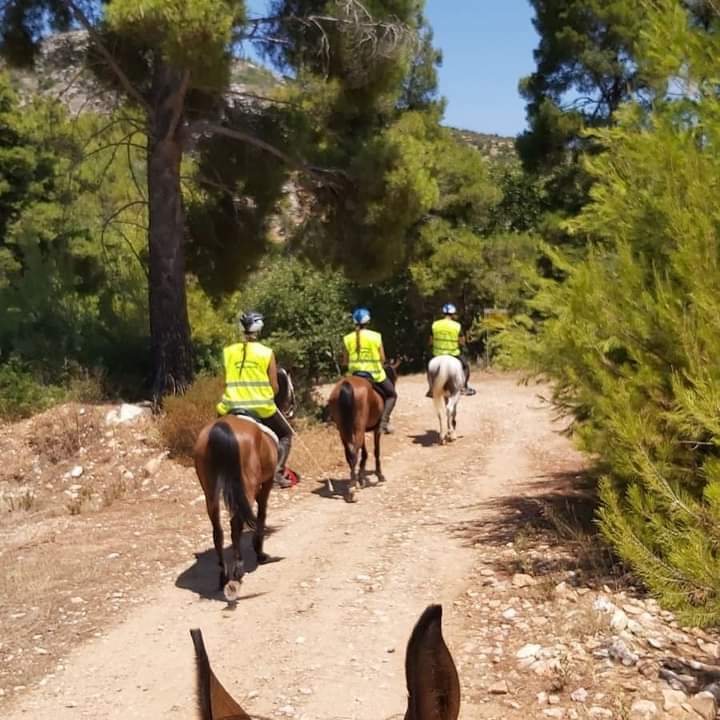 FB IMG 1628071964940