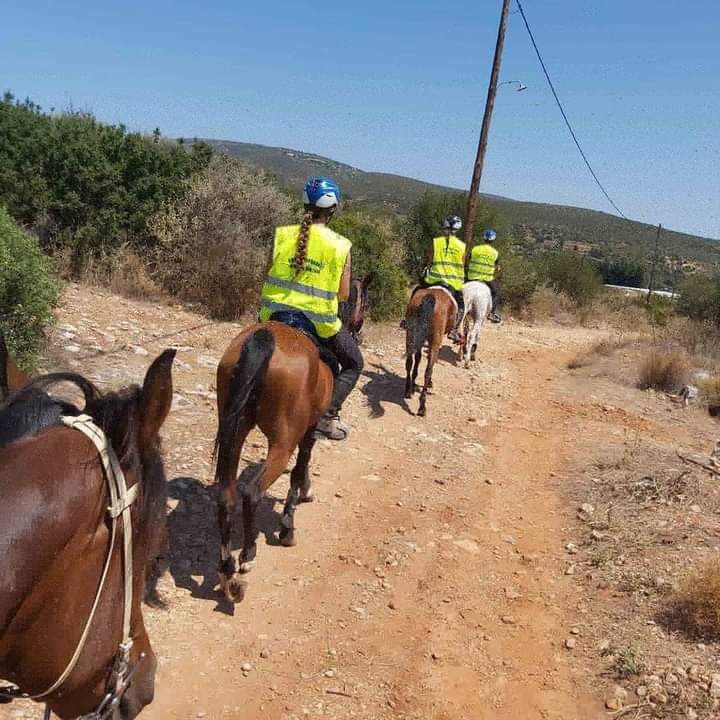 FB IMG 1628071973424