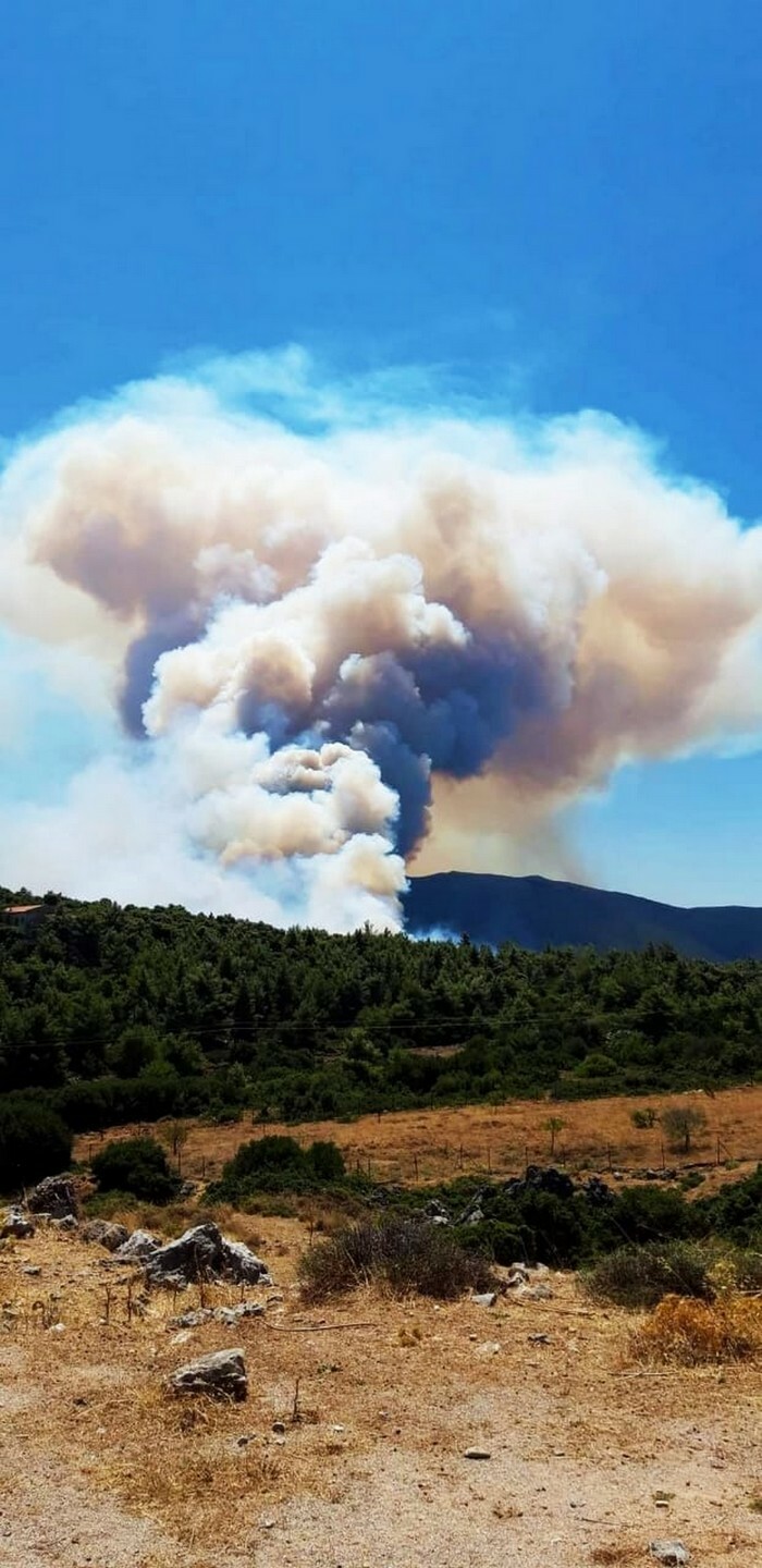 fwtia pirkagia vilia attikis 1