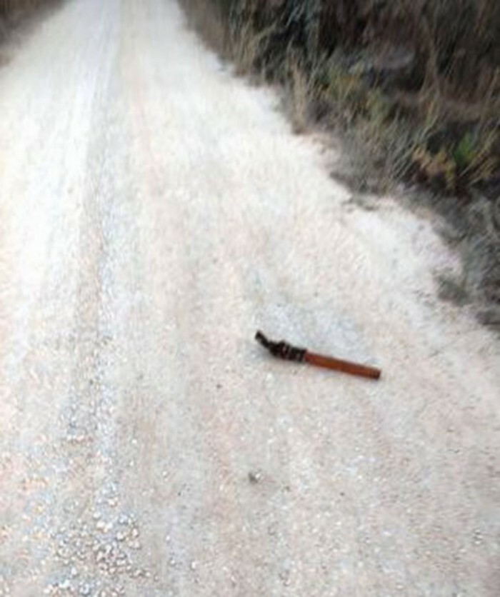 ilia dolofonia taksitzis eksixniasi astynomia elas 2