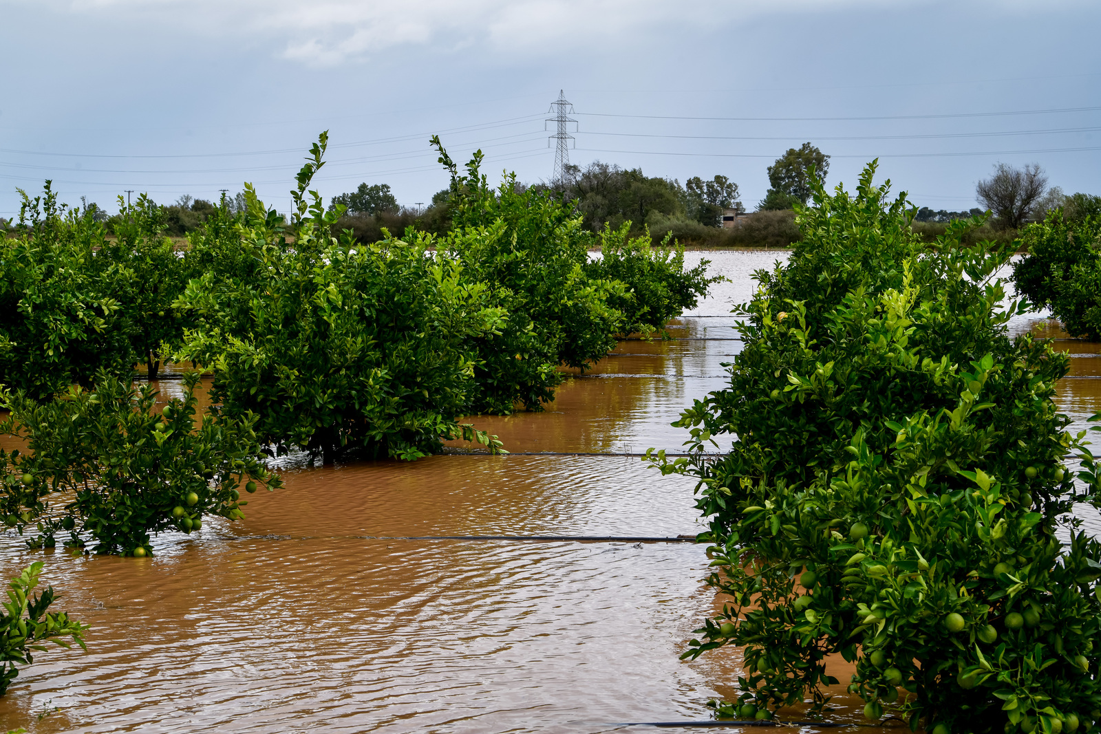 ΚΑΚΟΚΑΙΡΙΑ ΑΓΡΙΝΙΟ 