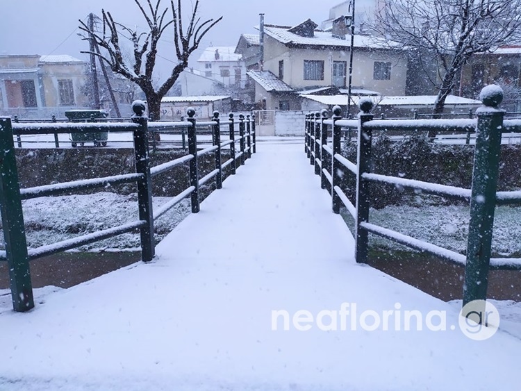 261841624 958013635096723 1027890558716938310 n 1