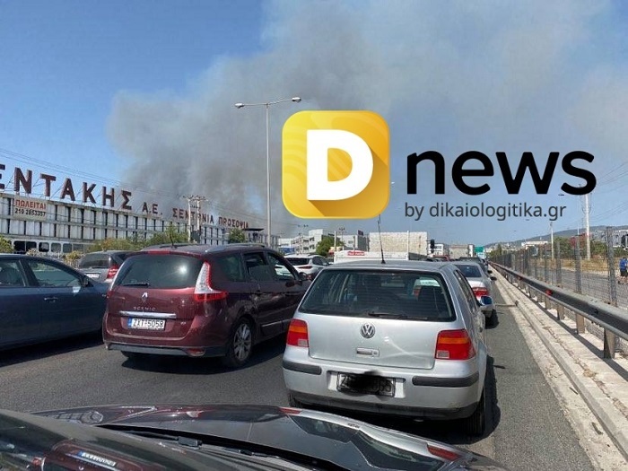 225636615 275818640979646 7881442696264254443 n 1