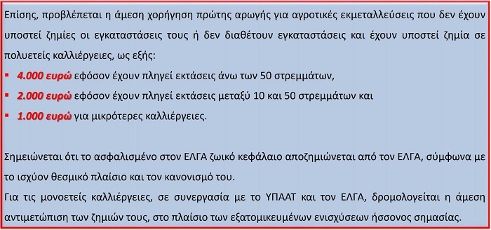 epixorigisi epixeiriseon