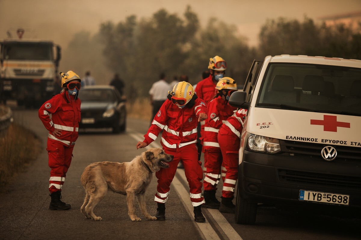 fwtia pirkagia zwa erithros stavros eurokinissi