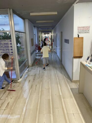 311132704 10160534138982360 2184049279898993019 n 375x500