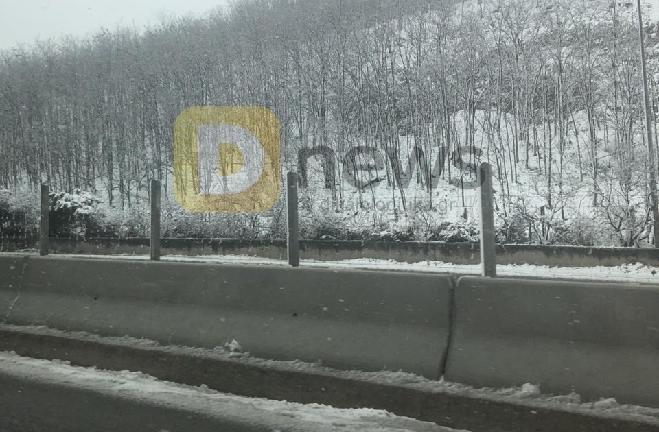 WhatsApp Image 2022 03 09 at 14.58.32