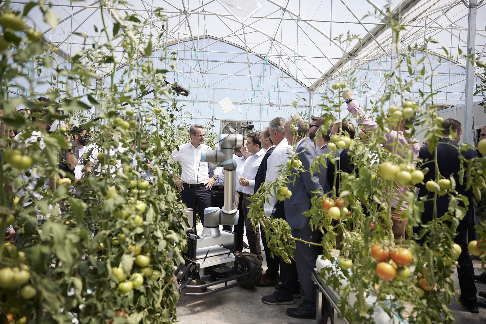 22 05 20 0089 DPC0772