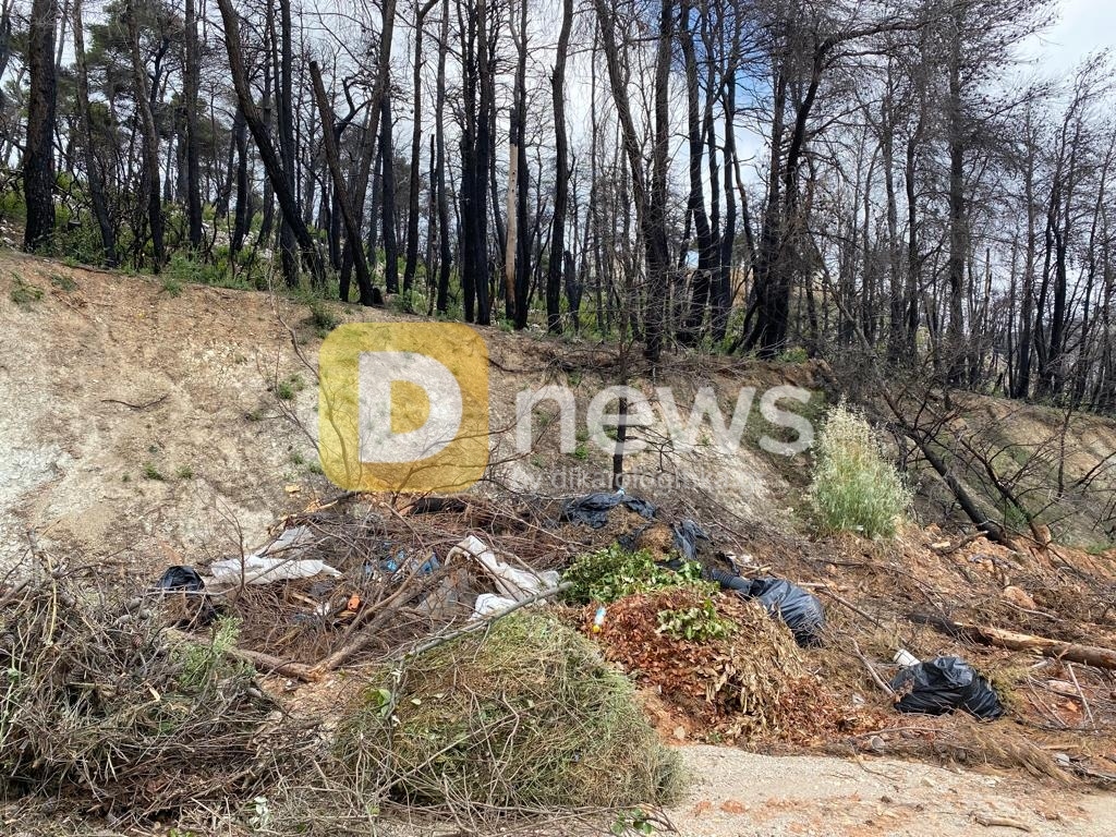 WhatsApp Image 2022 06 08 at 19.09.34